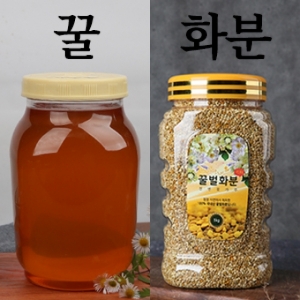 치악산큰송이,치악산 자연꿀,화분